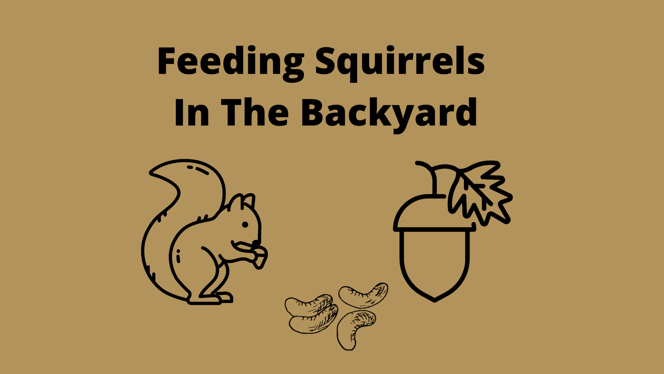 Best Squirrel Food What To Feed Squirrels In Backyard