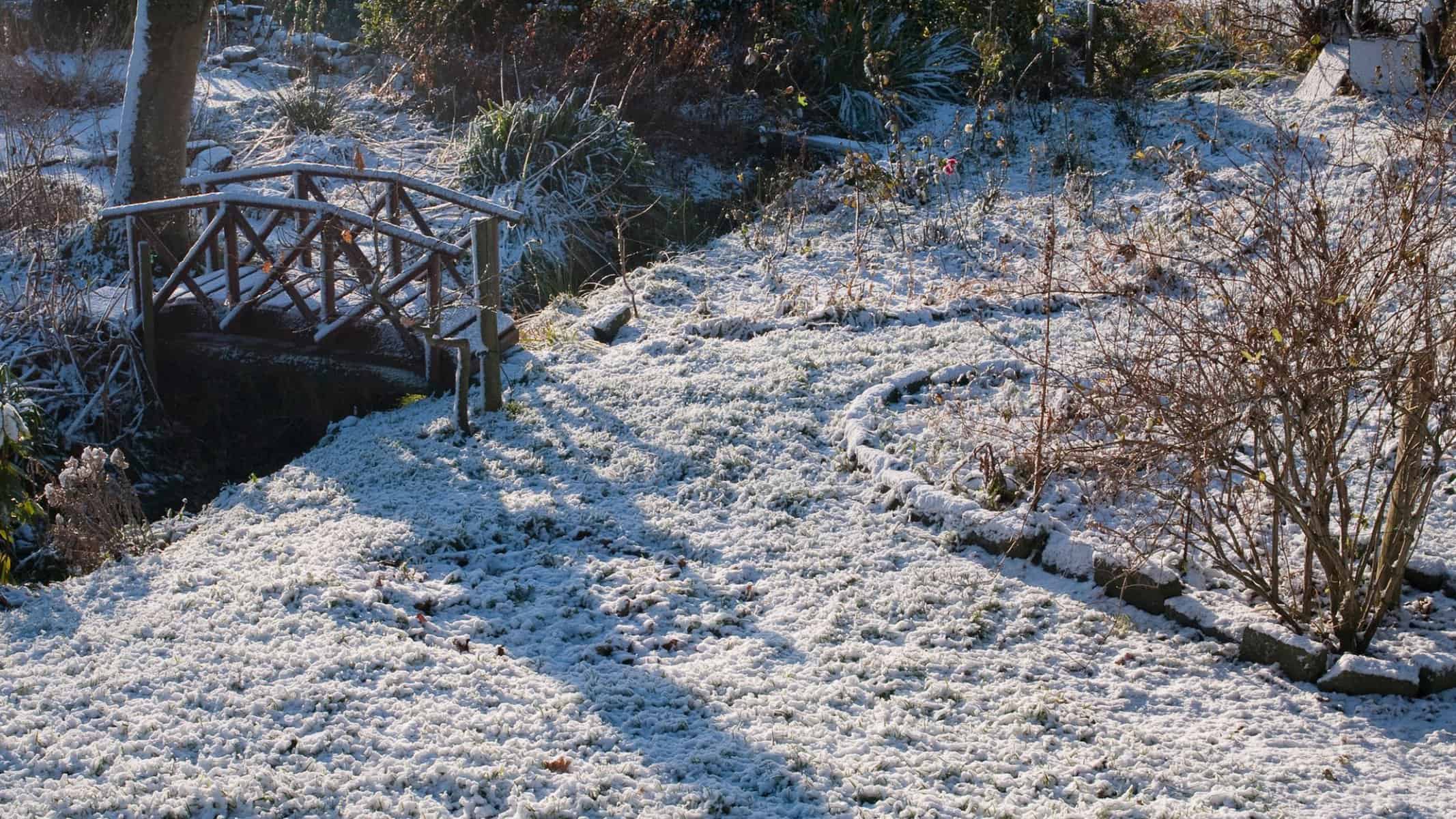 How To WinterProof Your Garden 7 Easy Steps