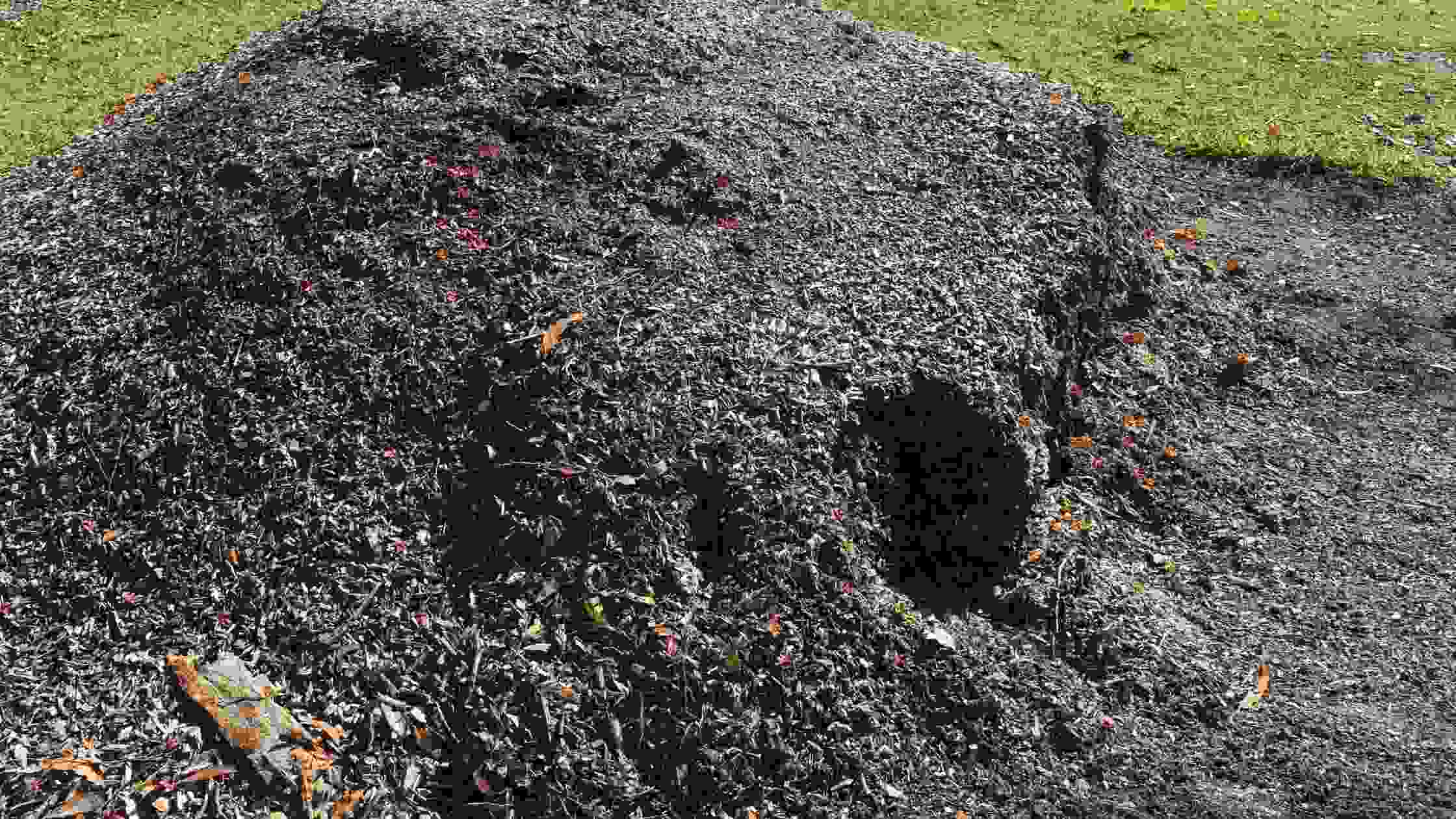 How Deep Should Mulch Be To Prevent Weeds? [Useful Tips]