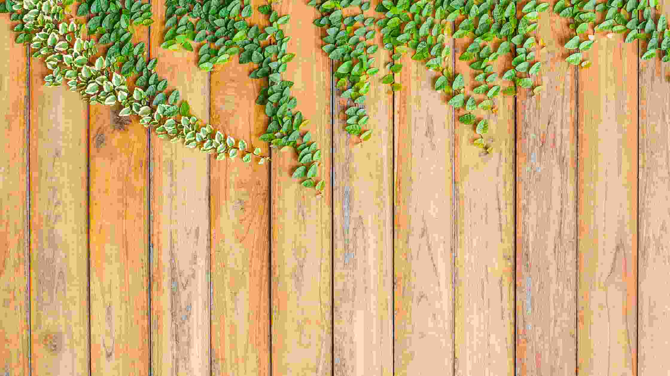 How Long Does A Wood Fence Last? [Maintain A Wooden Fence]